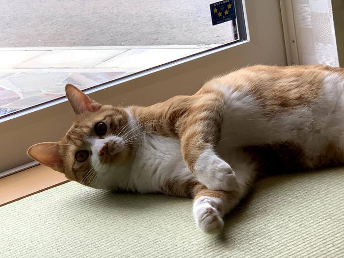 沖縄登録テスト | お酒のデータベースサイト お酒DB